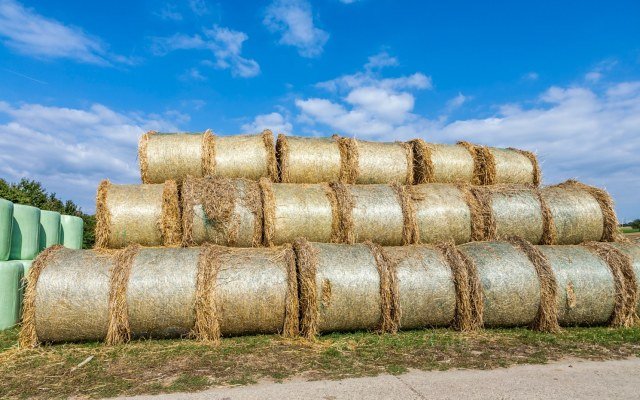 Security Matters’ marking technology aims to reduce plastic contamination in farming industry