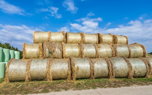 Security Matters’ marking technology aims to reduce plastic contamination in farming industry