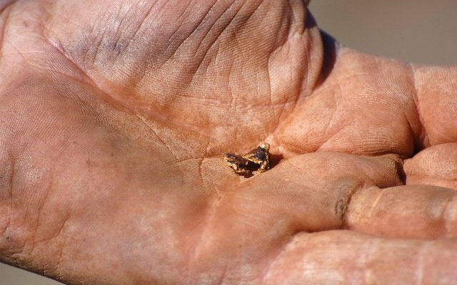 Segue Resources fires up on Pilbara gold discoveries