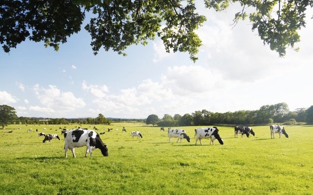 Sensera releases new version of location tracking software for livestock market