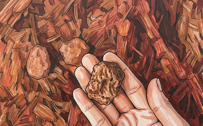 Sierra Nevada Gold Wins Tender for Advanced As Safra project in Saudi Arabia