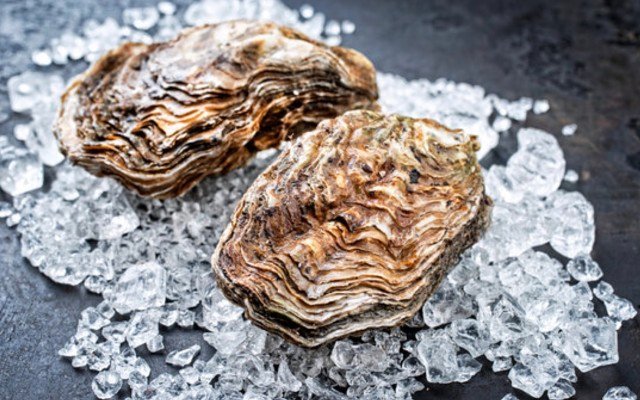 Sizing up the latest seafood IPO East 33 against the industry