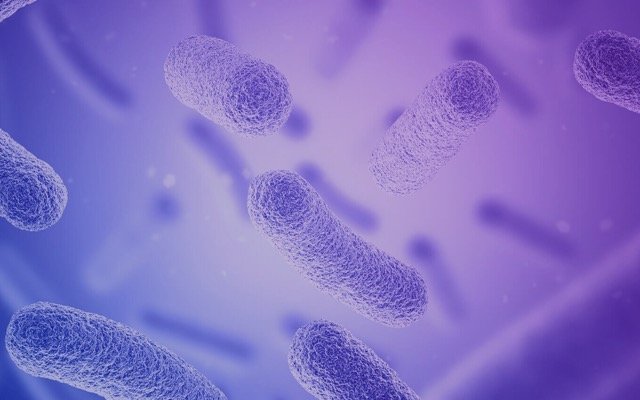 Sonic Healthcare acquires 20% stake in Microba Life Sciences