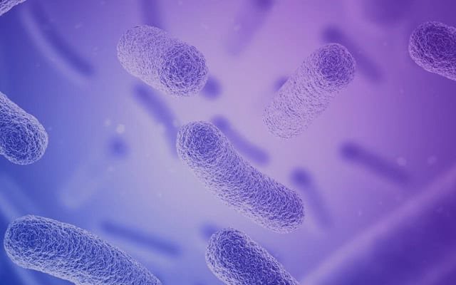 Sonic Healthcare erwirbt 20% Anteil an Microba Life Sciences