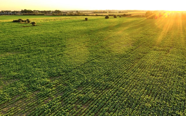 South Harz Potash selects driller for German project as it targets 325Mt resource