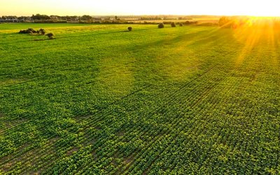 South Harz Potash selects driller for German project as it targets 325Mt resource