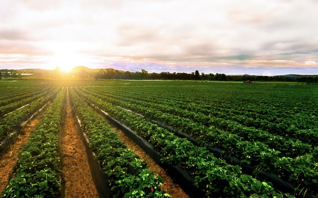 South Harz Potash gives driller green light to begin at German project