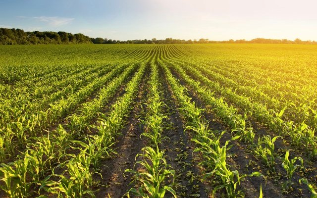 South Harz Potash signs maiden drilling contract for Ohmgebirge