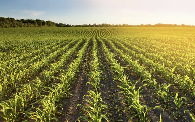 South Harz Potash signs maiden drilling contract for Ohmgebirge