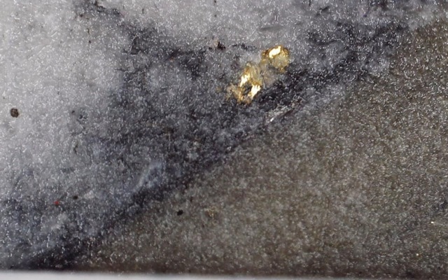 Southern Cross Gold hits deepest gold yet on its one-year anniversary