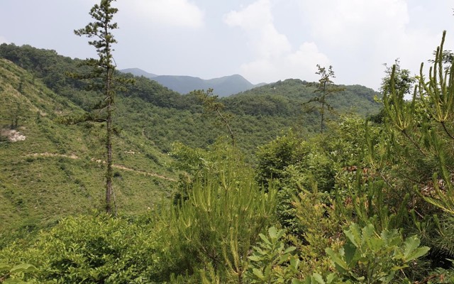 Southern Gold to begin drilling in Korea after confirming 1km gold-silver mineralised zone