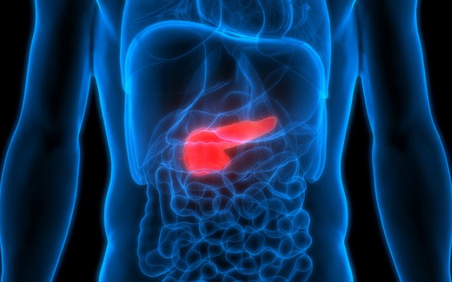 Starpharma’s DEP irinotecan candidate has positive impact on human pancreatic cancer in mice