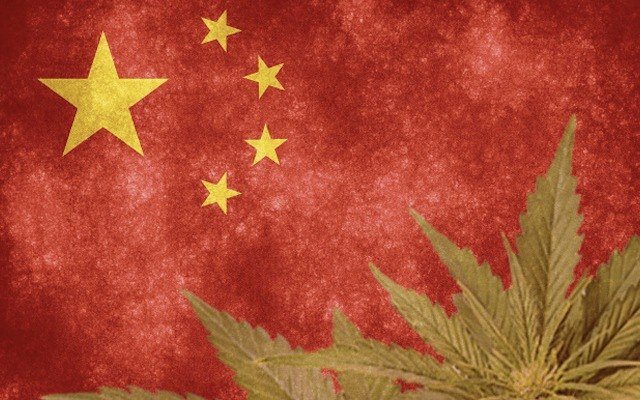 StemCell United looks to capitalise on industrial hemp licence in China