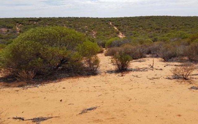 Strandline Resources secures US$60m bond issue for Coburn mineral sands project