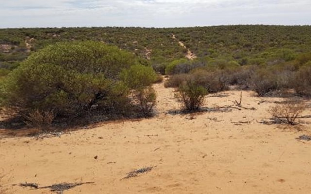 Strandline Resources secures US$60m bond issue for Coburn mineral sands project