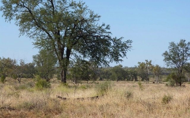 Strategic Energy Resources rides BHP’s copper discovery wave