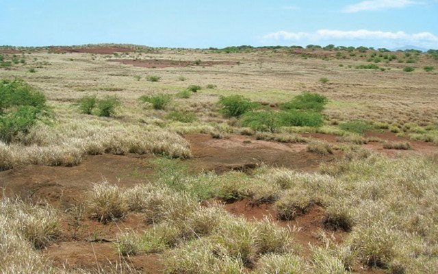 Sultan Resources cements copper-gold position in Lachlan Fold Belt