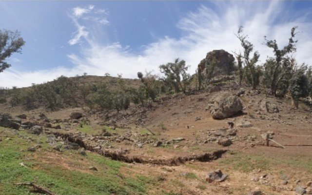 Sultan Resources shores up copper-gold potential at Ringaroo with latest sampling results