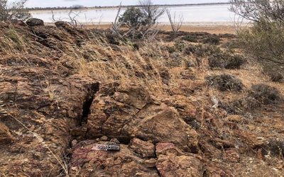 Sultan Resources says geological results indicate Lake Grace similar to Julimar