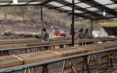 Sunstone Metals delivers ‘outstanding’ assay from drilling at Limon gold-silver target