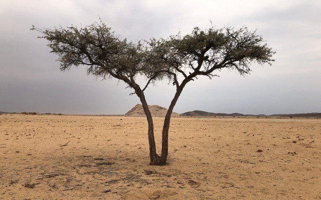 Survey generates ‘outstanding results’ for Elevate in its hunt for uranium in Namibia