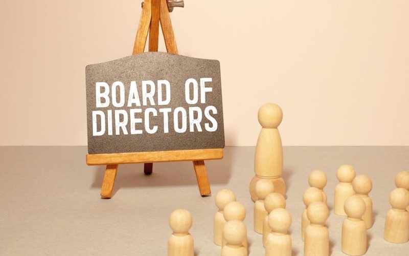 Tambourah Metals appoints mining executive to board of directors