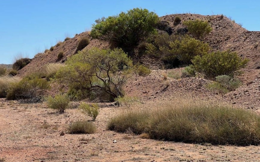 Tambourah Metals commences gold and lithium exploration at Pilbara projects