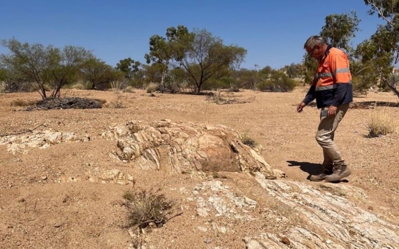 Tambourah Metals completes drilling program at Shaw River lithium project