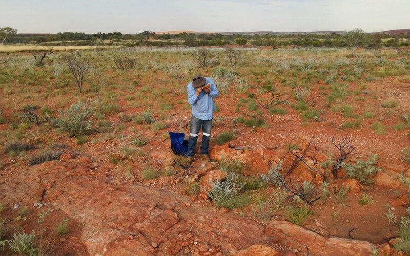 Tambourah Metals strikes high-grade gold at Duke prospect in northern WA