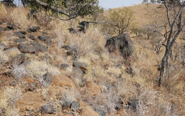 Tando Resources firms up DSO potential at SPD with confirmation of new vanadium pipe cluster find