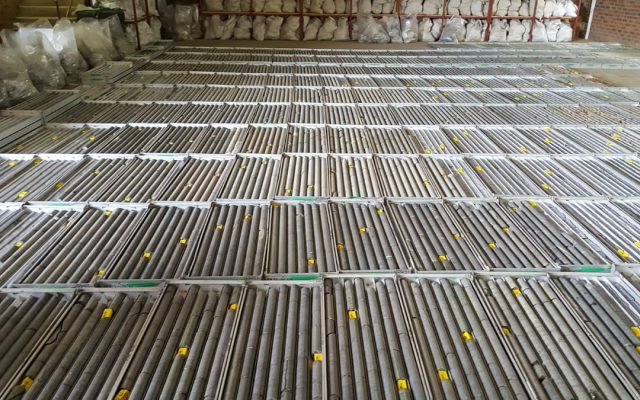 Tando Resources firms up SPD vanadium project with ‘outstanding’ assay results