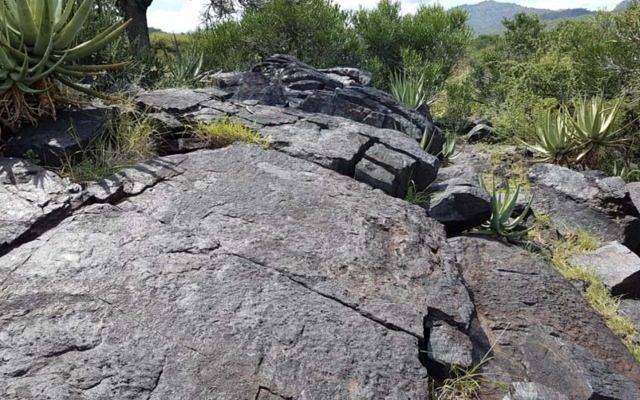 Tando Resources personnel and brokers review SPD’s vanadium potential close-up