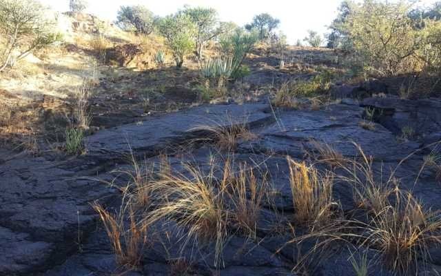 Tando Resources shores up DSO potential with more high-grade vanadium at SPD