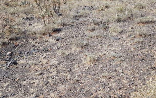 Tando Resources sees ‘immense potential’ for SPD project after new vanadium pipe finds