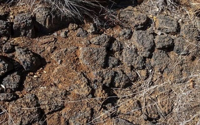 Tando Resources uncovers more ‘outstanding’ high-grade vanadium pipes at SPD