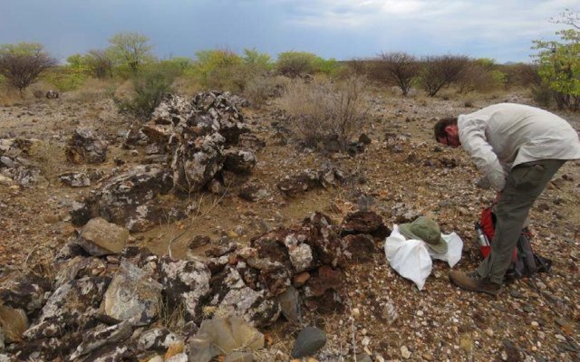 Tanga Resources finds new high-grade zone at flagship Hagenhof copper-cobalt project