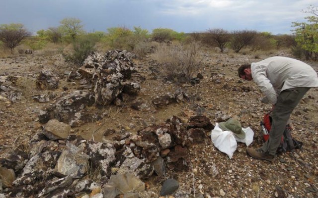 Tanga Resources finds new high-grade zone at flagship Hagenhof copper-cobalt project