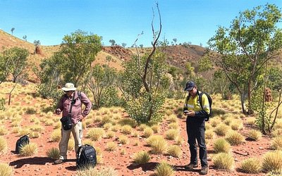 TechGen Metals Unearths New Copper-Gold Zones in Heritage Survey at Blue Devil Project