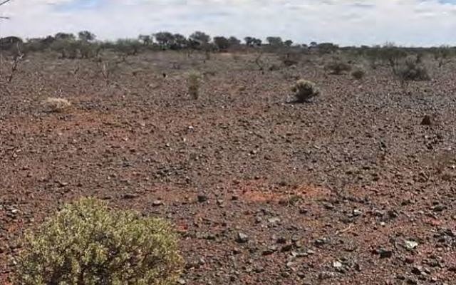 Technology Metals Australia establishes vanadium offtake MoU with China-based rare metal manufacturer