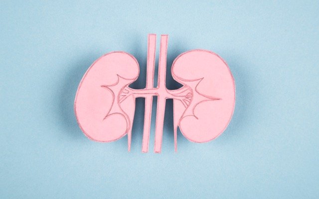 Telix withdraws Europe marketing application, AGL to close power station early and BHP prioritises Peru exploration