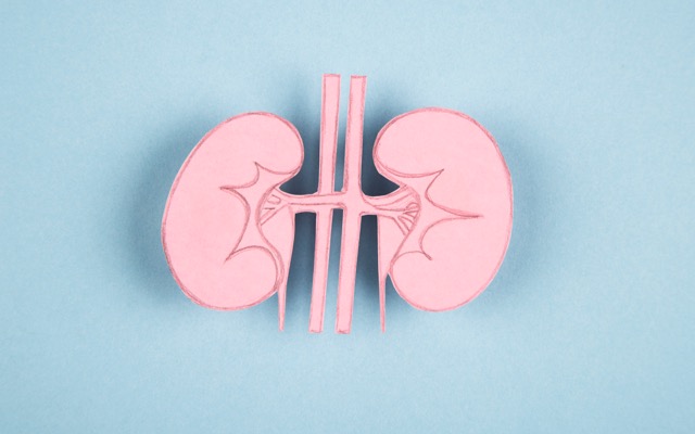 Telix withdraws Europe marketing application, AGL to close power station early and BHP prioritises Peru exploration