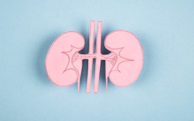 Telix withdraws Europe marketing application, AGL to close power station early and BHP prioritises Peru exploration