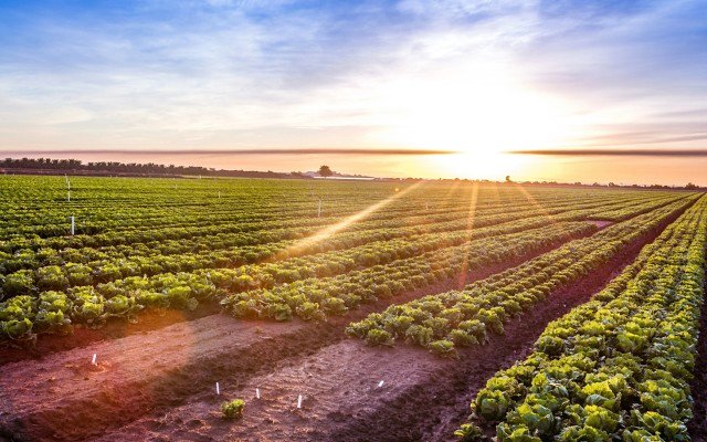 Terragen to list on ASX, aims to shake up farming sector with microbial soil and animal health technologies