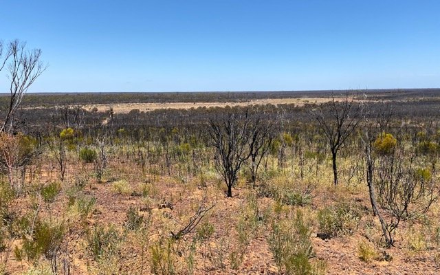 TG Metals makes ASX debut to advance nickel exploration at Lake Johnston