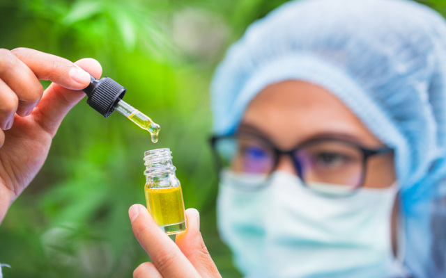 THC Global to begin cannabis production at Southport facility following ODC permit