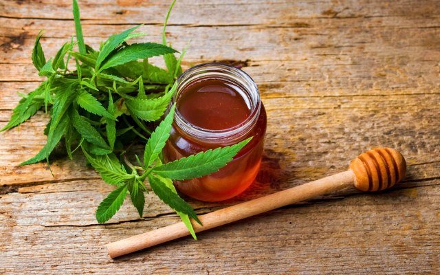 THC Global and Eve Investments to advance medicinal cannabis partnership following manufacturing licence