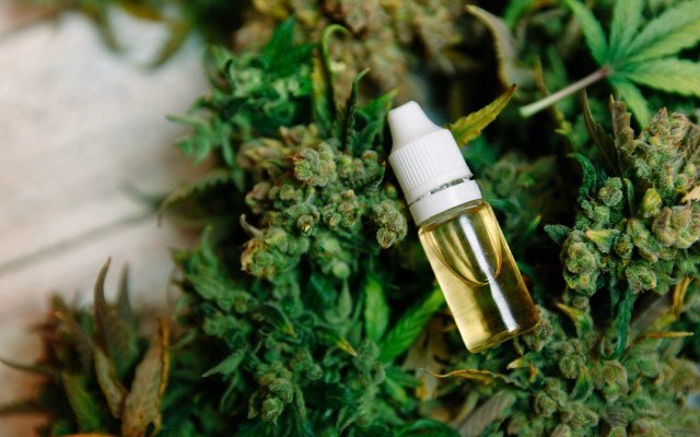 THC Global receives cornerstone narcotics licences allowing medicinal cannabis production in Australia