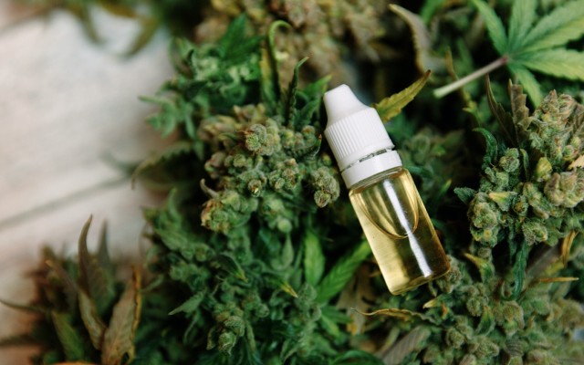 THC Global receives cornerstone narcotics licences allowing medicinal cannabis production in Australia