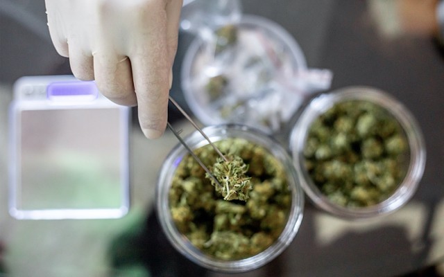 THC Global sets date for first Australian medicinal cannabis prescriptions, eyes German export market