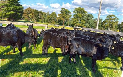 The Weekly Finger: From the pasture to the mining pulse